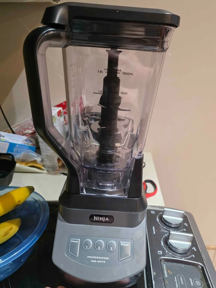 Ninja Professional Plus Blender - photo 3
