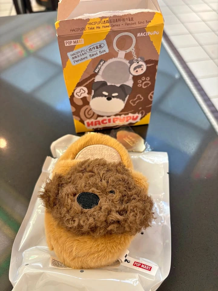 Hacipupu brown doggy slipper