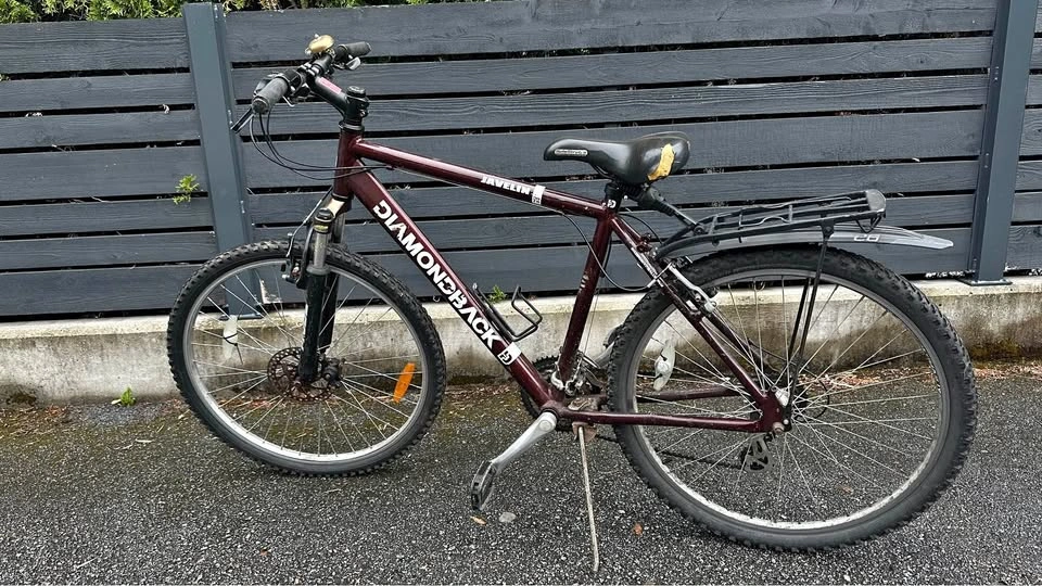 DiamondBack Bike