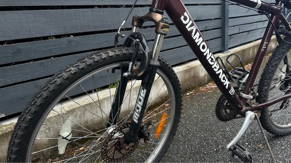 DiamondBack Bike - photo 2