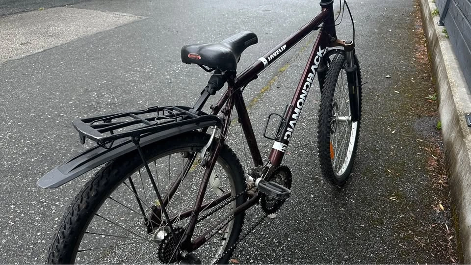DiamondBack Bike - photo 5