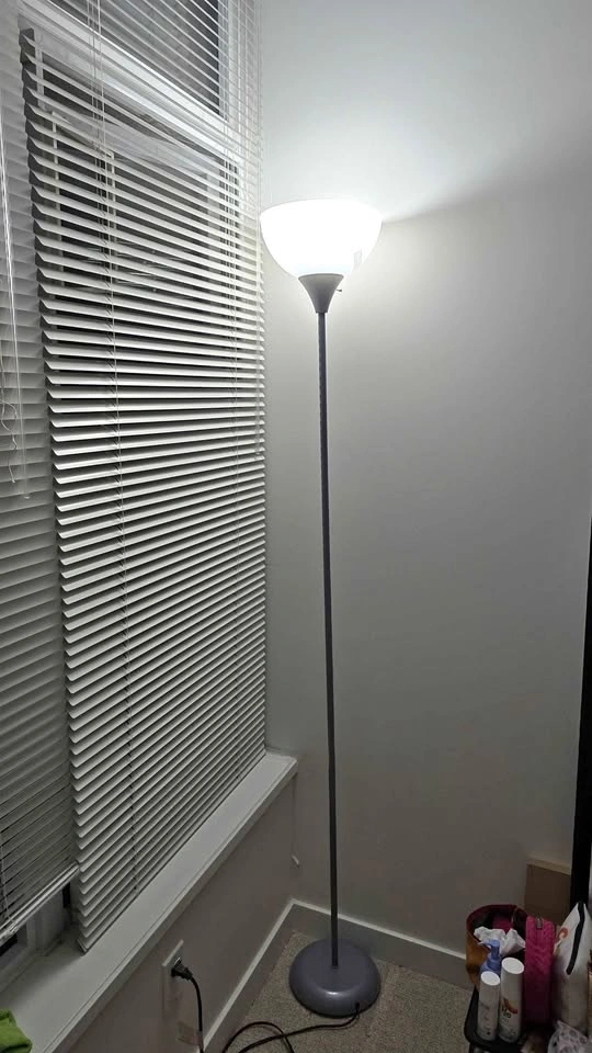 Mainstays Floor Lamp