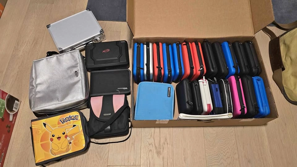 Nintendo DS and 3DS Carrying Cases