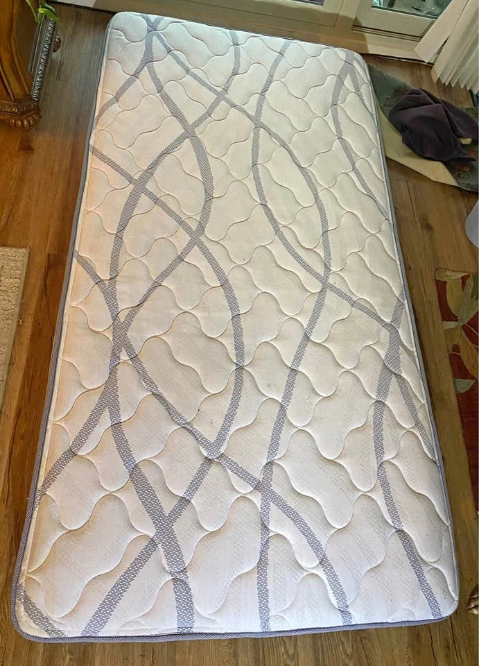Twin Mattress $55, Metal frame with wheels $30