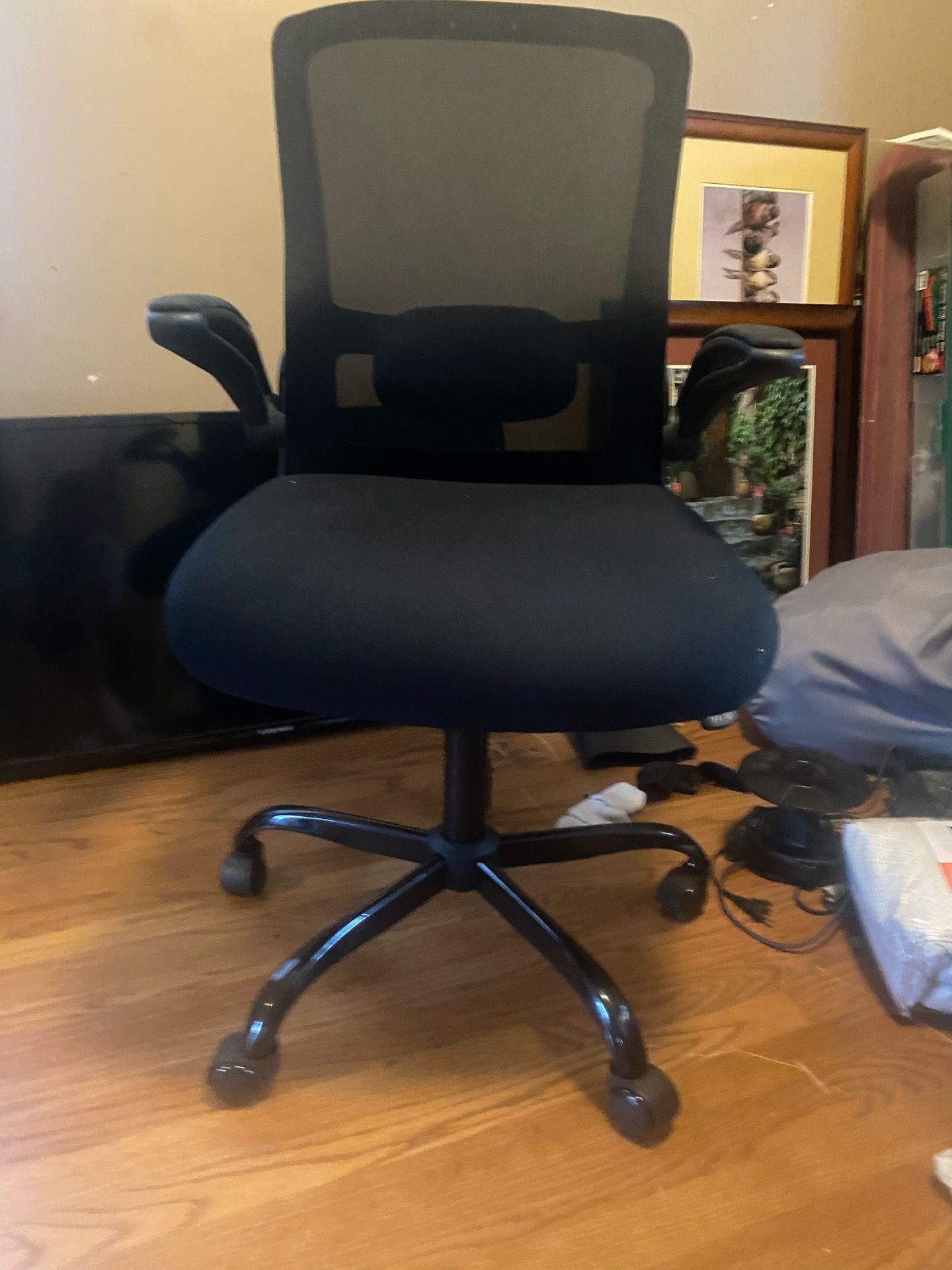 Office or Desk Chair