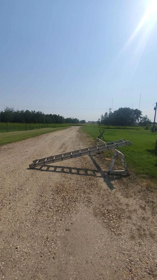 20' Aluminum extension ladder - photo 2