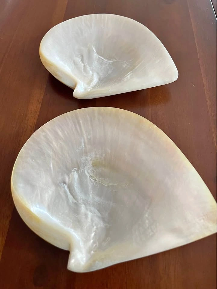 Vintage Mother of Pearl Shell Dishes (Pair)