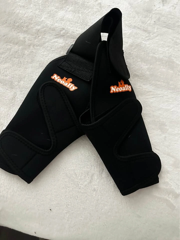 Dog brace new tried it on only