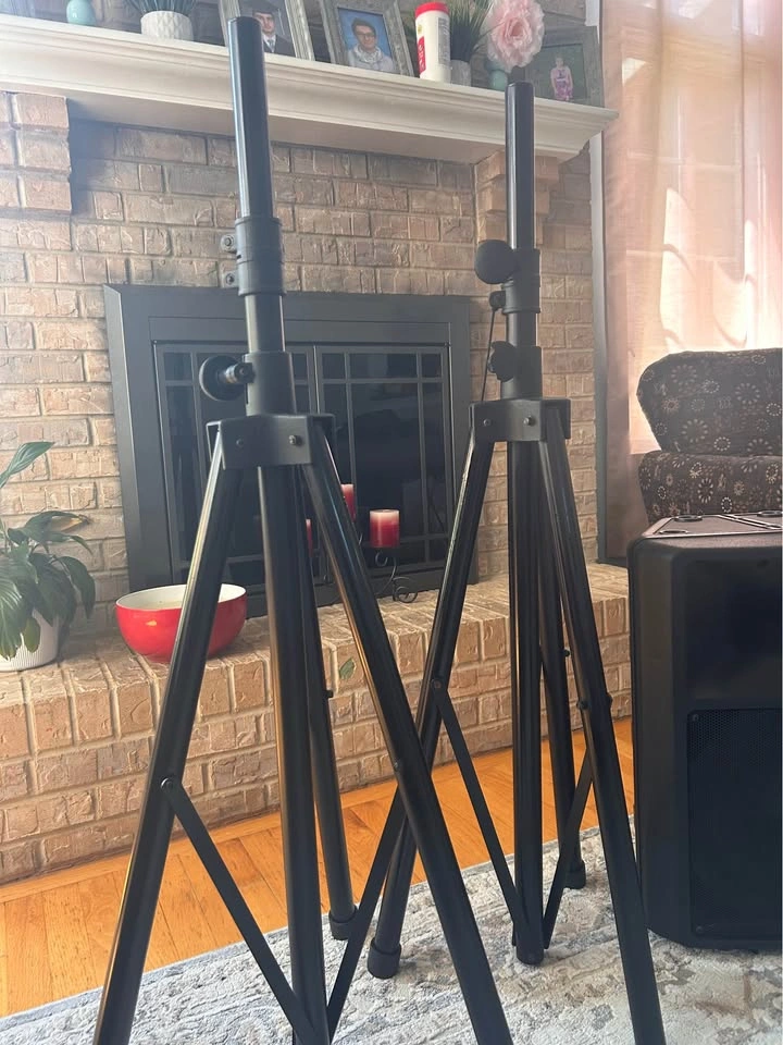 Electro-Voice SX100+ Passive Loudspeaker Black - photo 2