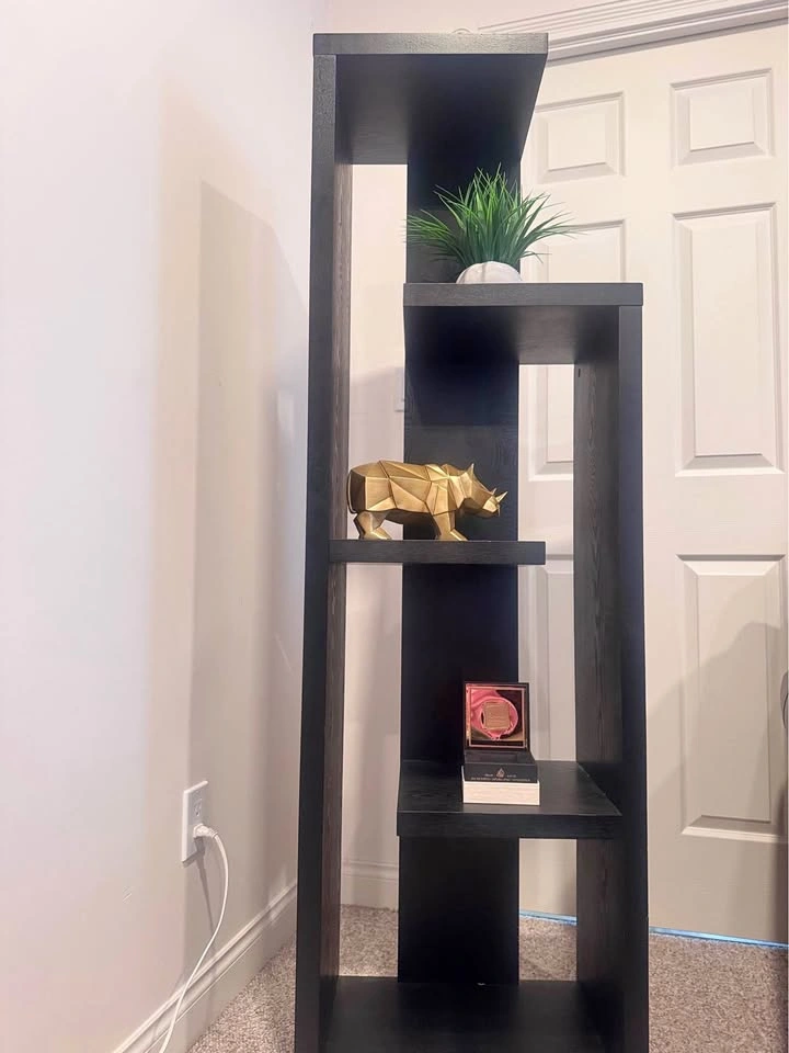 Urban Barn Modern Display Shelf / Bookcase – Dark Wood