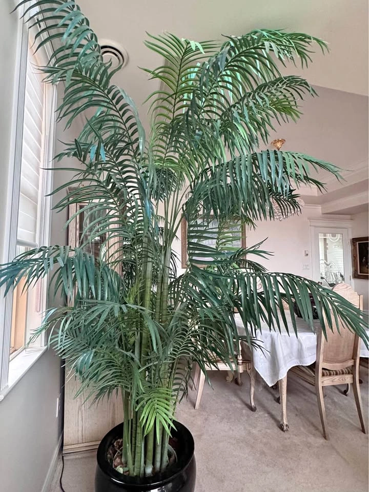 9’ Premium Silk Palm Tree in Large Black Ceramic Pot