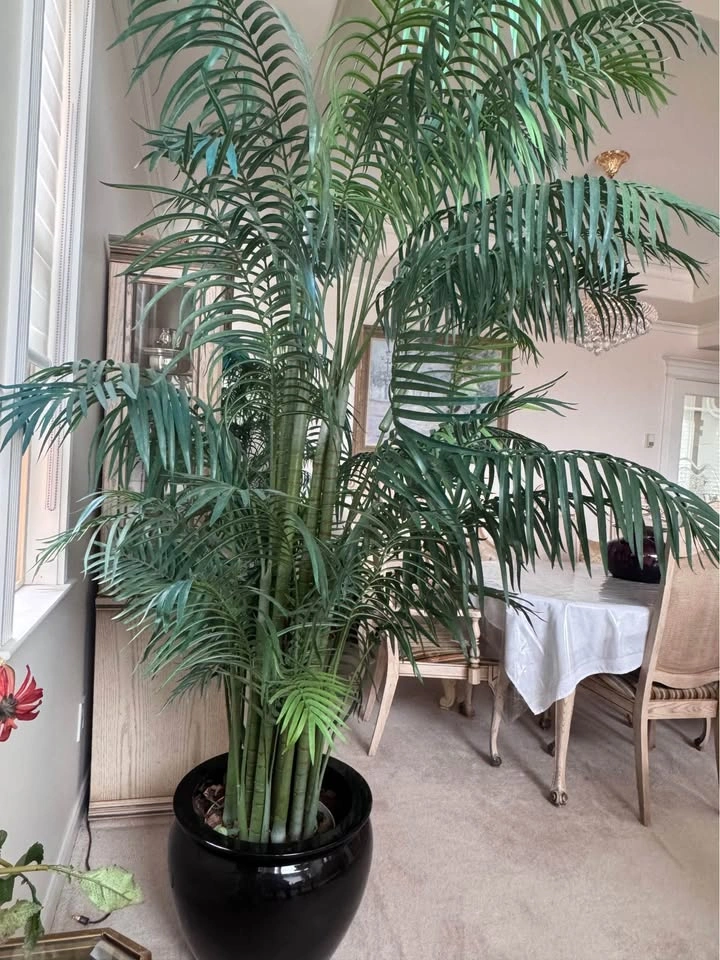 9’ Premium Silk Palm Tree in Large Black Ceramic Pot - photo 2
