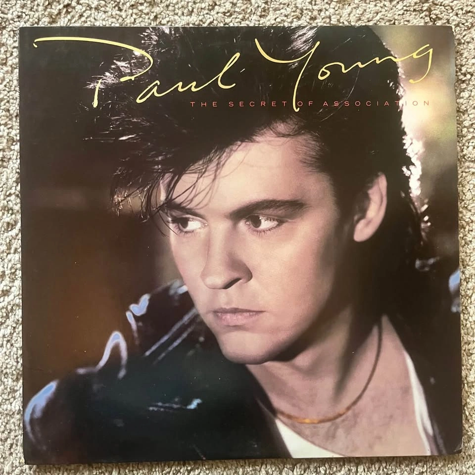 Vintage Vinyl Record Collection - Boz Scaggs, Flashdance, etc. - photo 4