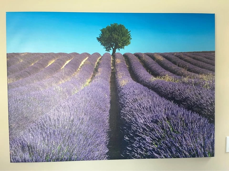 Large Ikea Lavender Field Canvas Wall Art