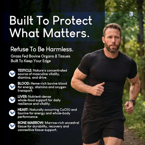 Beef Organ Supplement for Men - Grass-Fed Blend - photo 4