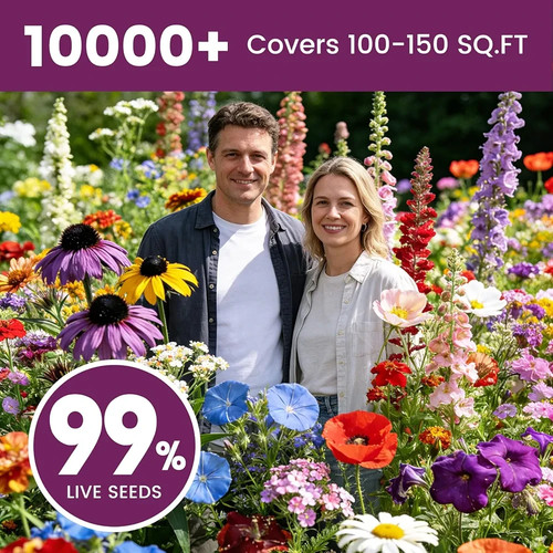 Wildflower Seeds Bulk 10000+, 1.06oz 21 Variety Perennial Mix - photo 2