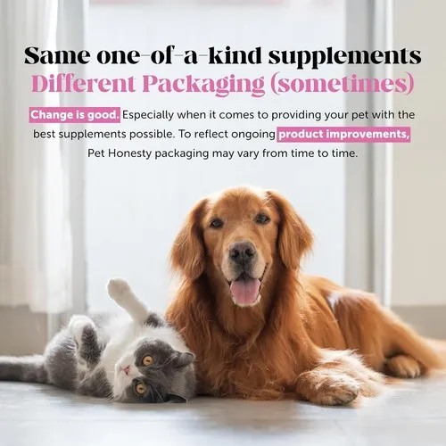 Dogs Probiotic - Digestive Enzymes Promotes Gut Health - photo 2