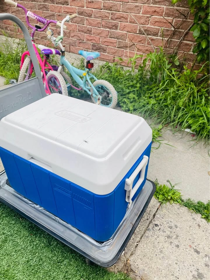 Large ice box in great condition, broken hinge, Scarborough