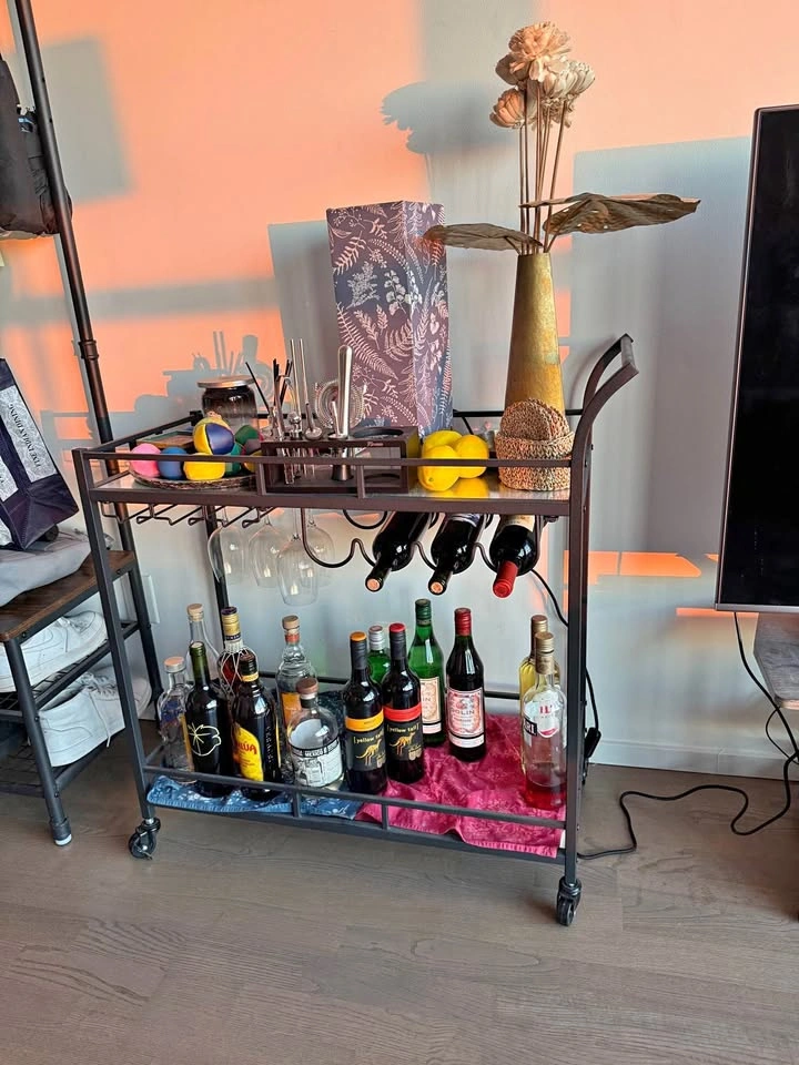 Mirror paneled bar cart