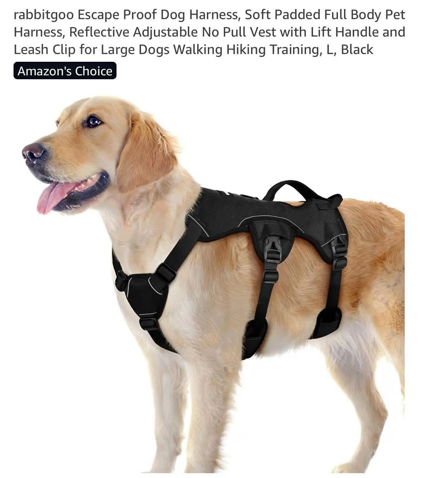 Rabbitgoo Escape-Proof Dog Harness – Size L