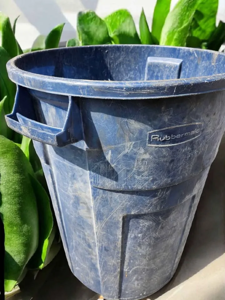 Rubbermaid 32 Gallon Trash Can bin No Lid image indicator(2)