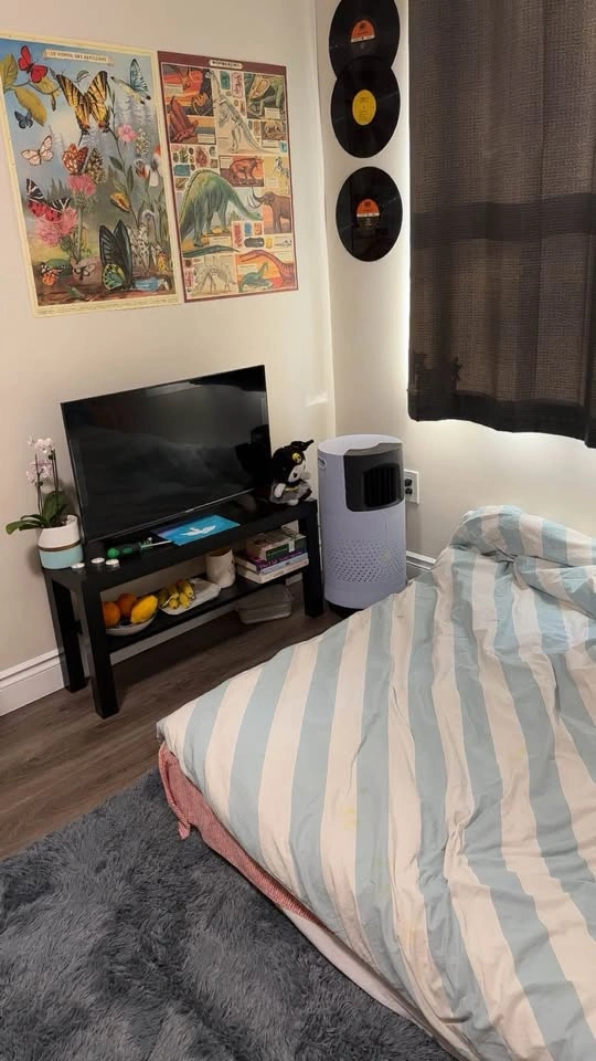 Briza Air cooler - photo 4