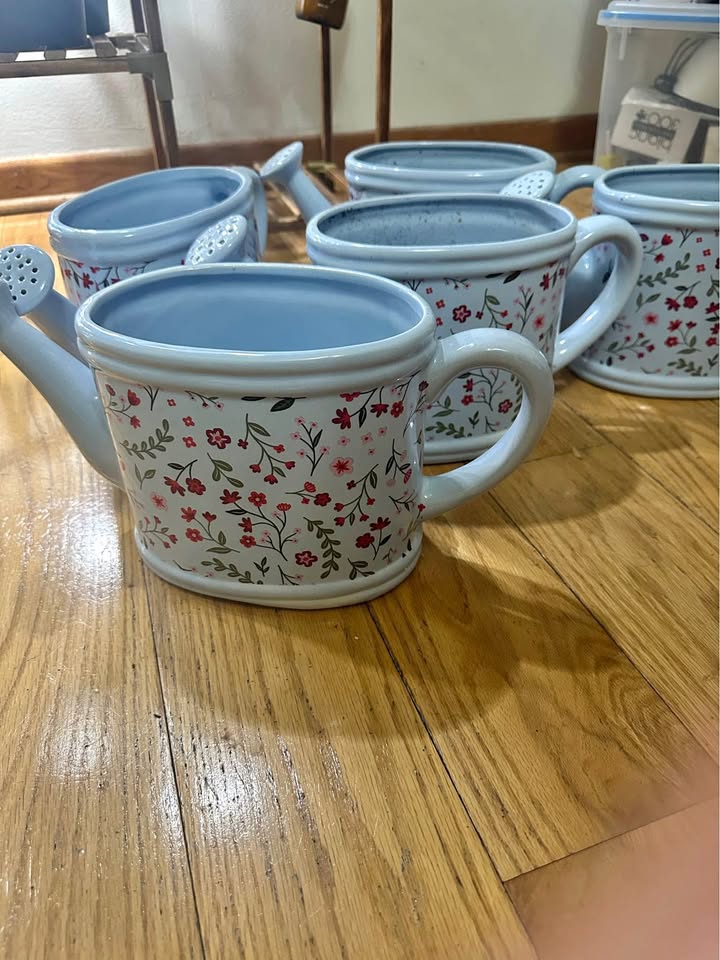 (5) Ceramic Watering Can Planter