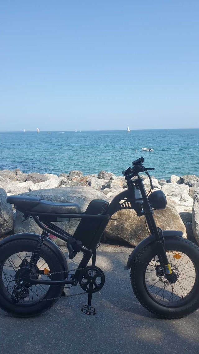 RIDING times z8s e bike - photo 3