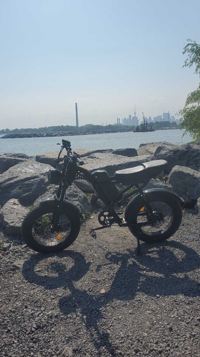 RIDING times z8s e bike - photo 4
