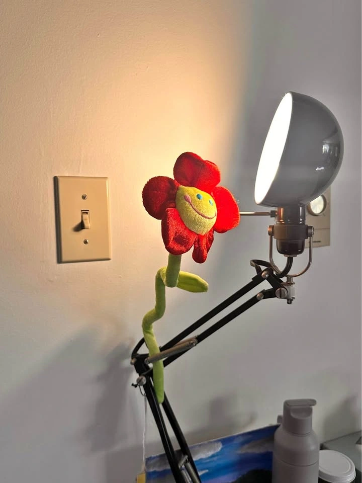 Desk lamp
