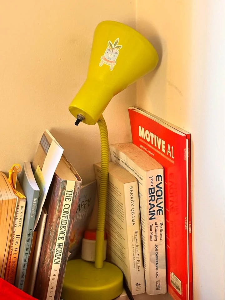 Reading lamp