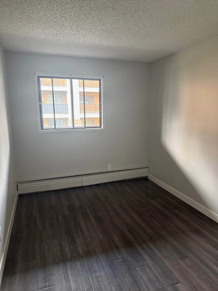 Private room for rent - photo 4