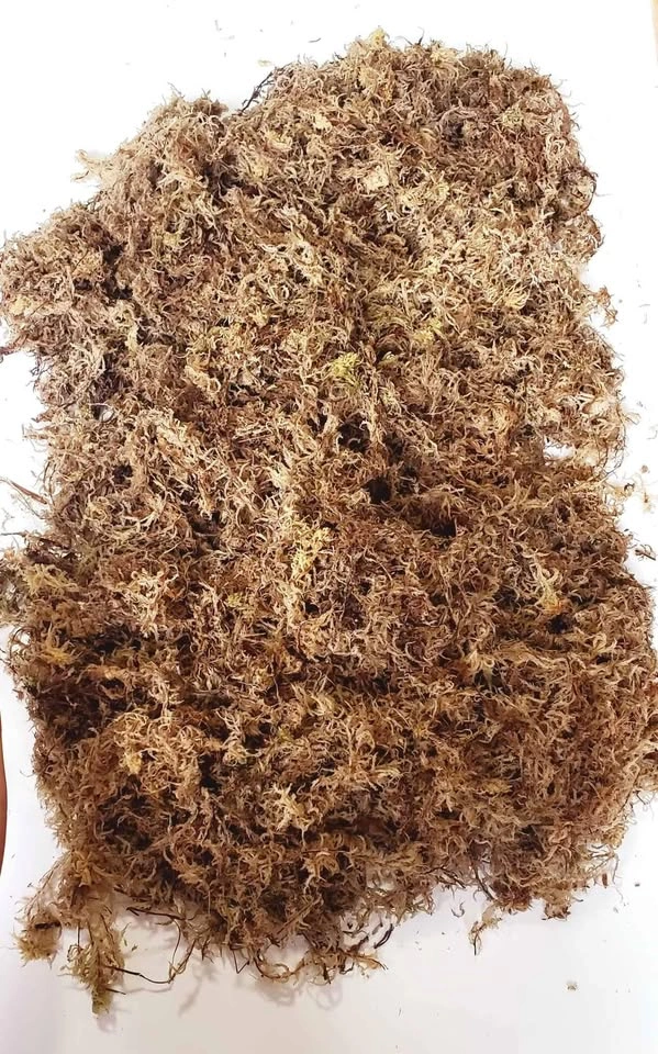 Huge sale on 6A grade sphagnum moss - photo 2