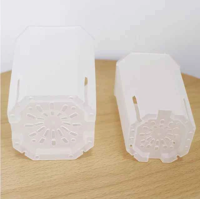 Transparent planting pots - 2 sizes available - photo 3