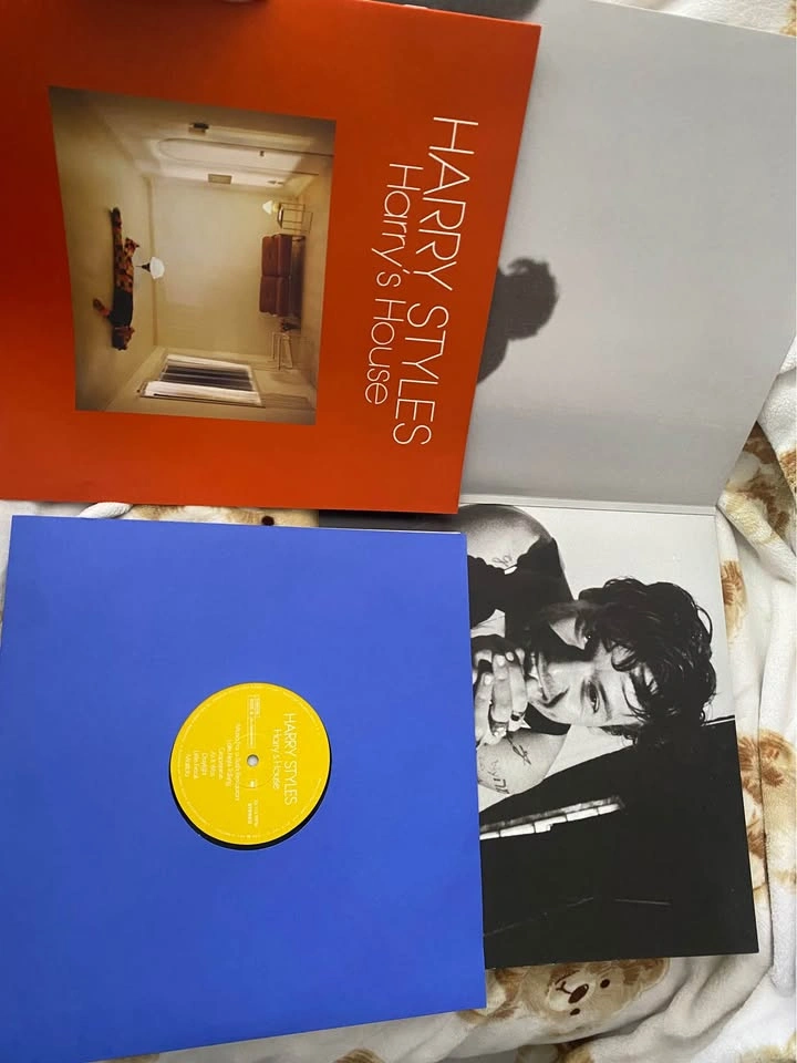 Harry Styles Vinyls - photo 3