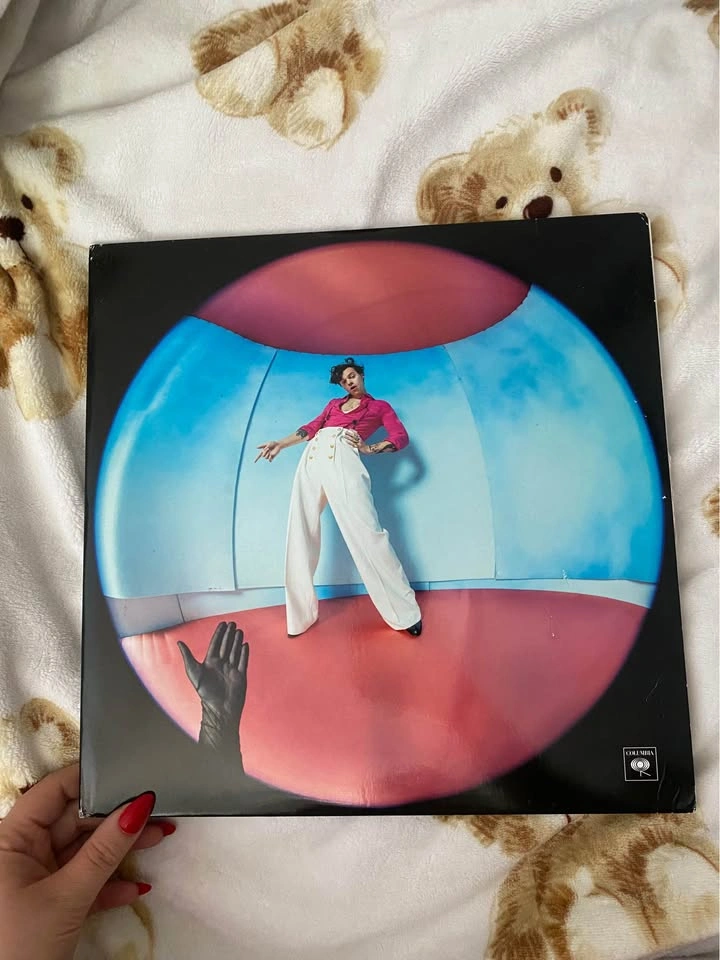 Harry Styles Vinyls - photo 4