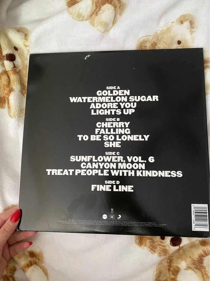 Harry Styles Vinyls - photo 5