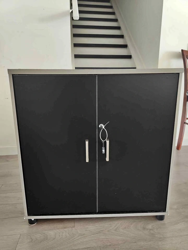Black 2-Door Locking Storage Cabinet