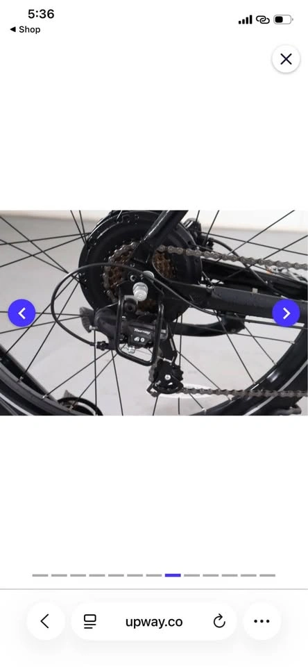 Lectric XPress 750 - photo 3
