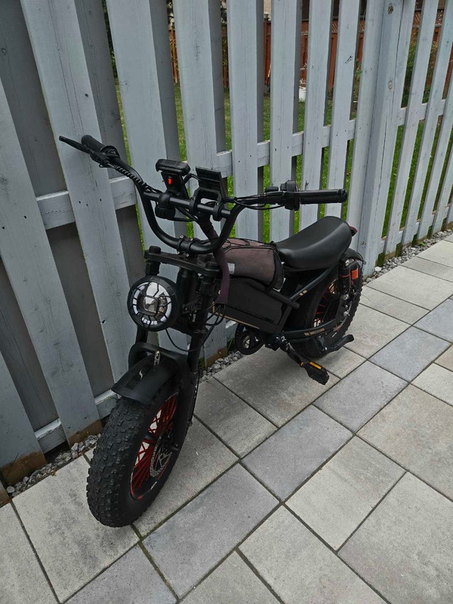 52km/h ebike - Jasion YR16 - photo 2