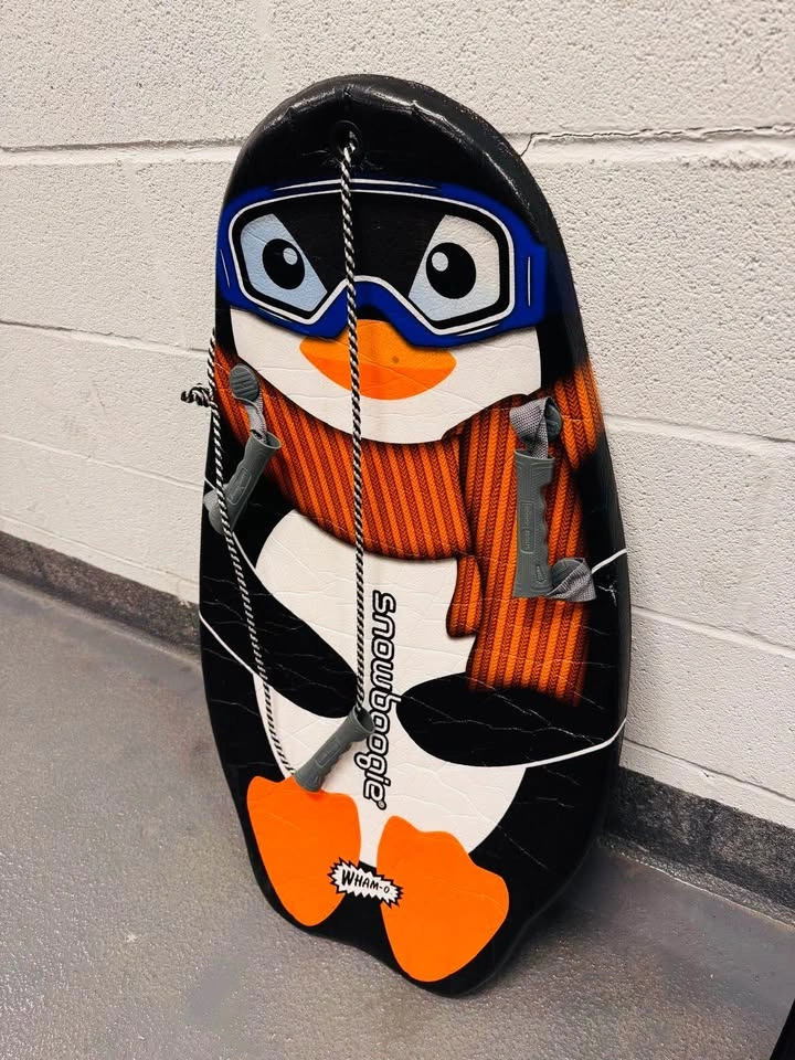 Snow sleds - photo 3