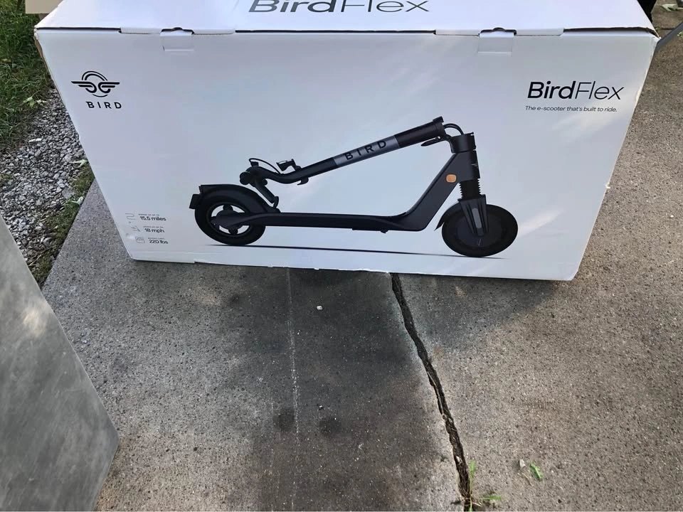 Bird flex scooter