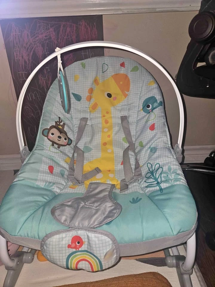 Baby bouncer/rocker