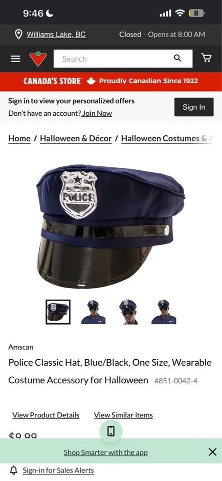 Halloween costume police hat - photo 4