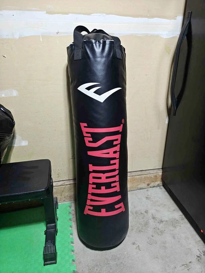 Everlast Heavy Bag