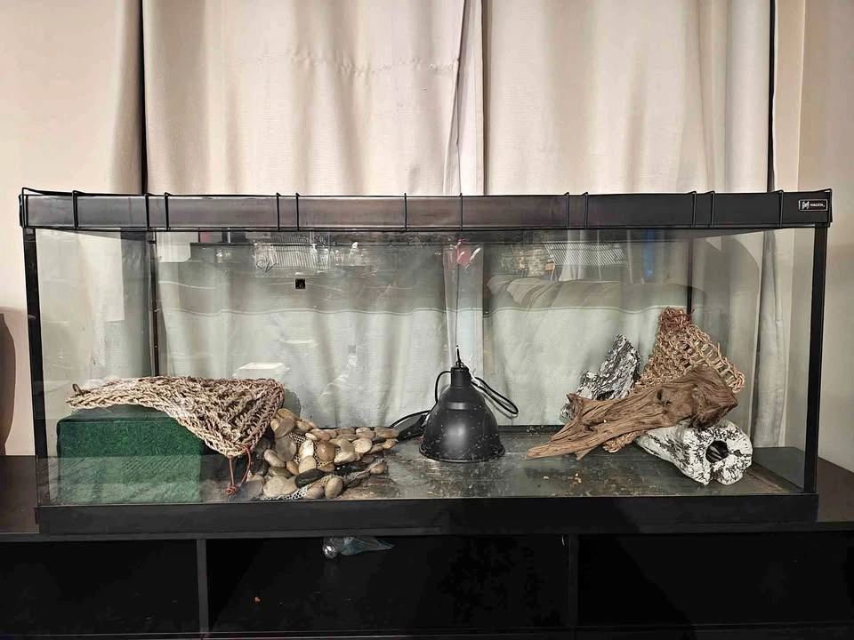 40 Gallon tank with lid & accessories
