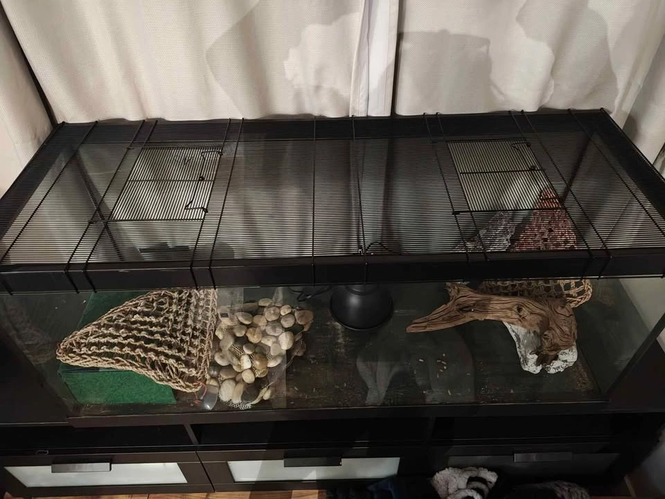 40 Gallon tank with lid & accessories - photo 2