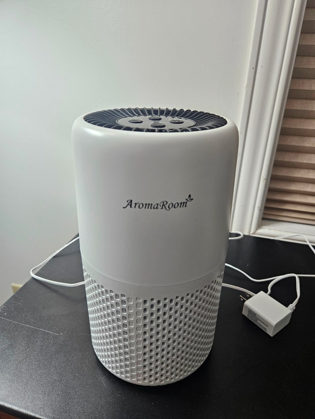 Air Purifier – Only $10