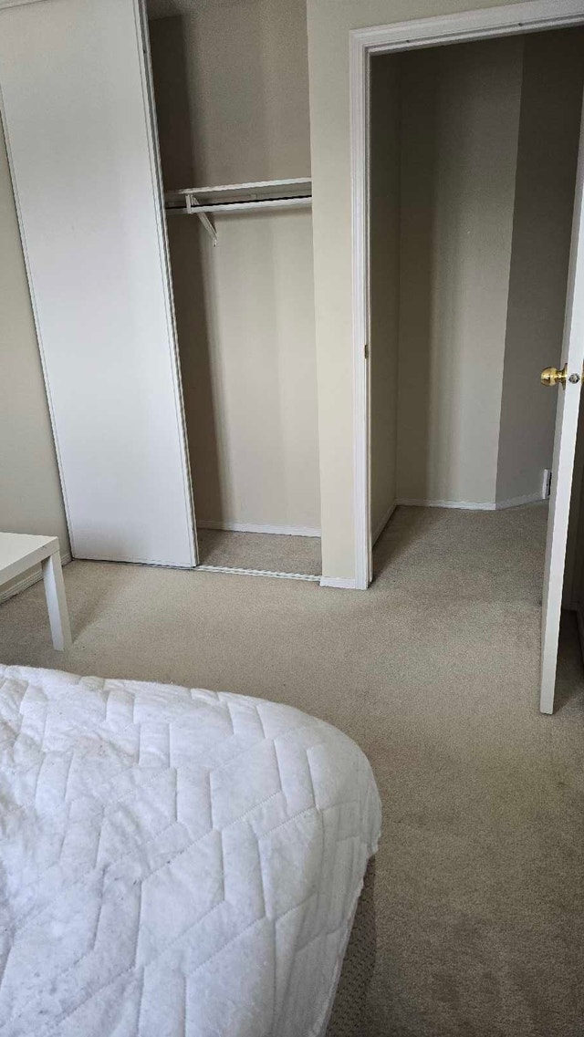Furnished Room In Millwoods Near Gurudwara - photo 2
