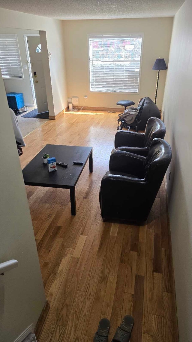 Furnished Room In Millwoods Near Gurudwara - photo 4